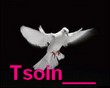 Anniversaire de Tsoin___ Logo_t10