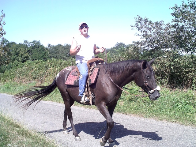 Sortie des appaloosas Pict0164