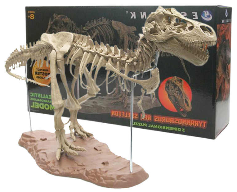 FIGURA - Esqueleto de Tyrannosaurus rex 2019-h10