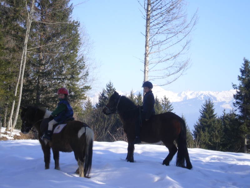 Le cheval et la neige, gagnant : Chris - Page 2 Imgp1510