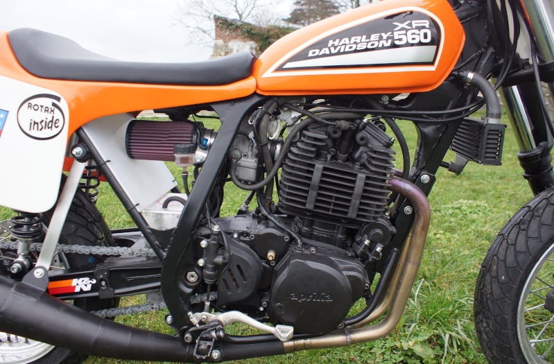 Harley- Davidson 560 XR Dirt Track Harley16