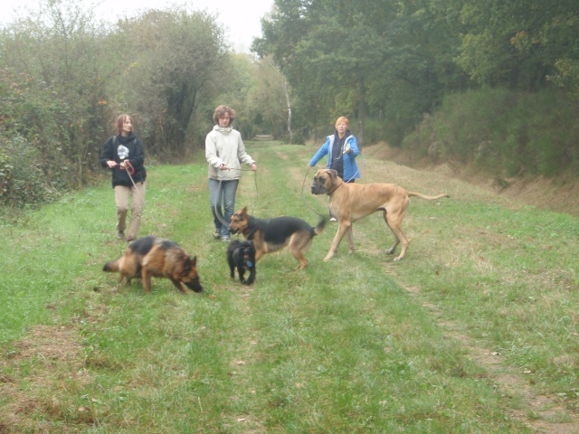 Balade à Rambouillet Octobr26