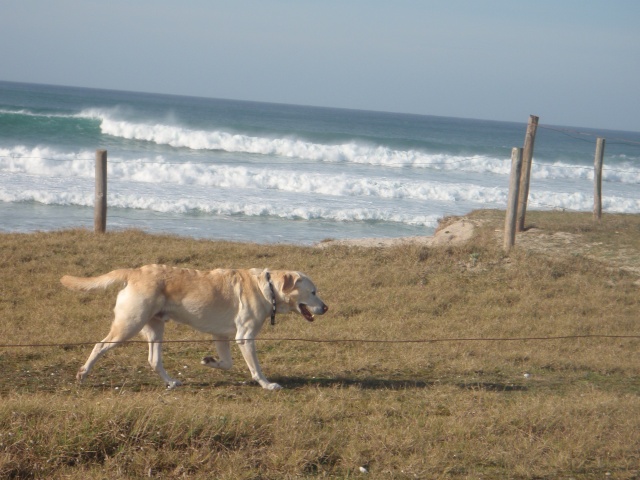 Balades en Bretagne - Page 4 Vacanc13