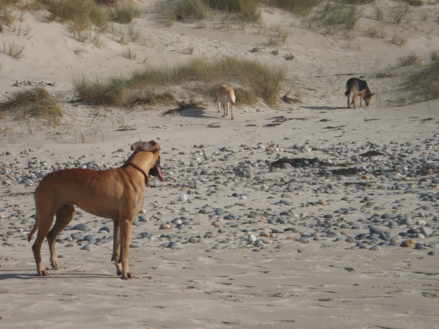 Balades en Bretagne - Page 4 Vacanc20