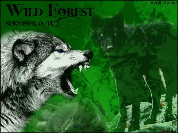.x. Wild Forest / Wolves World .x.