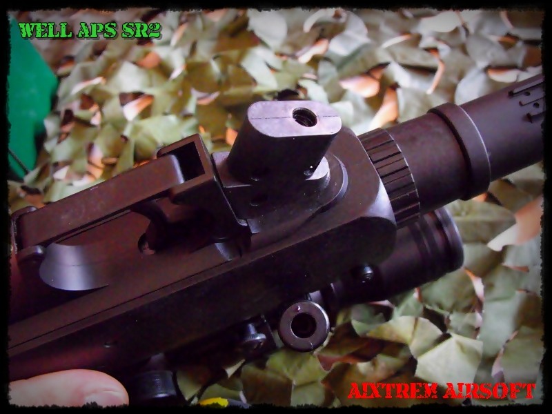 ::: WELL APS SR-2 Sniper Rifle ::: Dscf2424