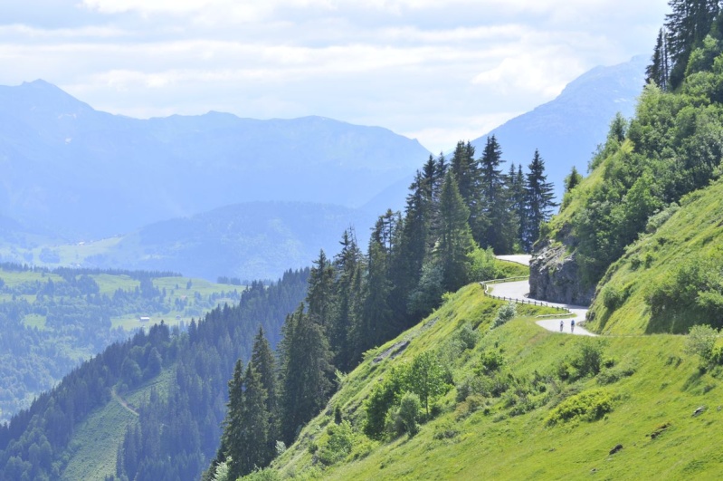 Le diesel, c'est d'la merde (ou pourquoi le fioul doit rester dans les cuves de chauffage d'habitation) Col-de10