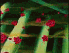 a2) Kurama~ vs Soulkeeper Rocio_10