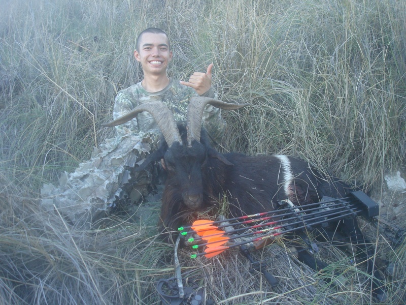 BOWHUNTING PIC GALLERY.......... - Page 9 Dsc05013