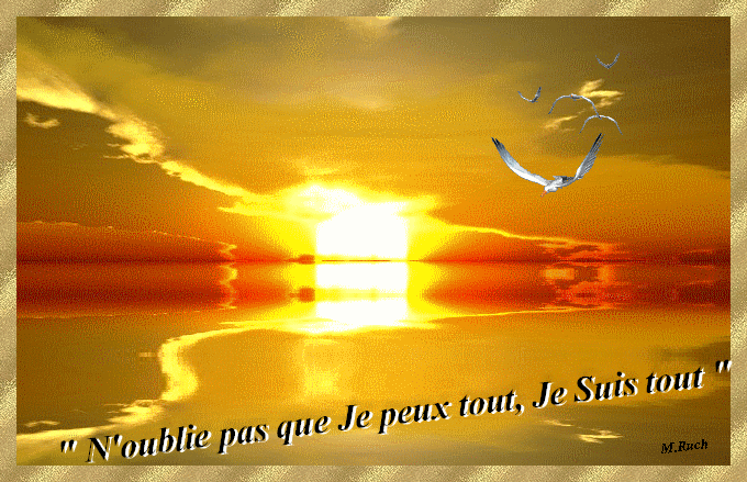 envole toi par delà les mots - Page 6 Oiseau10