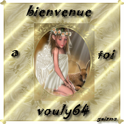 bienvenue a vouly64 ici pour ta presentation Vouly610