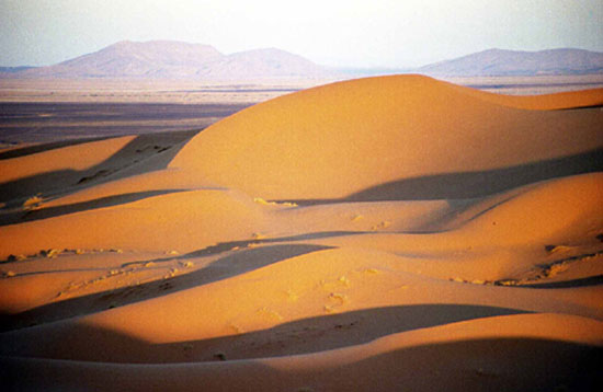 Le désert en images Maroc-10