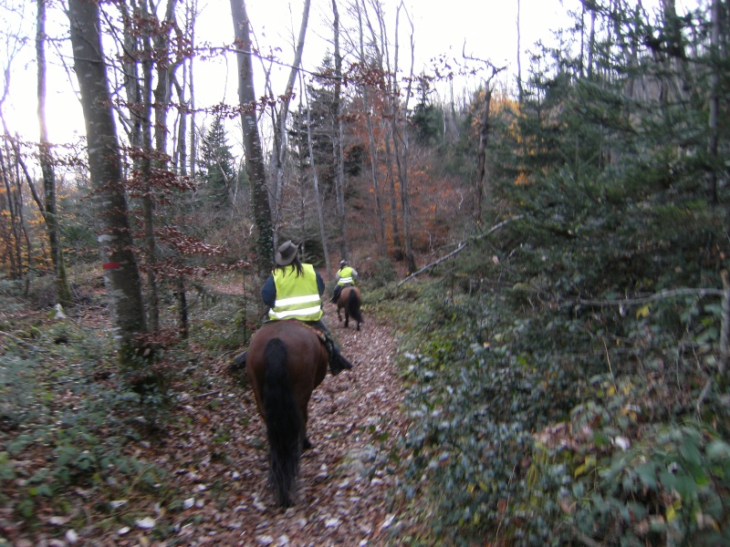 Balade automnale en Chartreuse Balade33