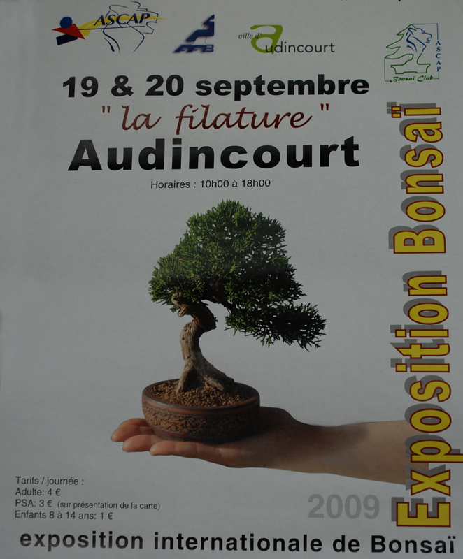 Exposition internationale de Bonsaï d'Audincourt(25) 113