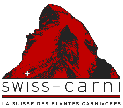 Swiss-Carni