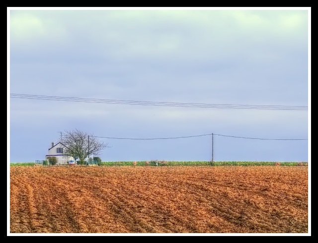 entre les fils la maison du champ _prega36