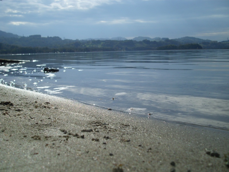 petite viré au lac d'Aiguebelette Img_2754