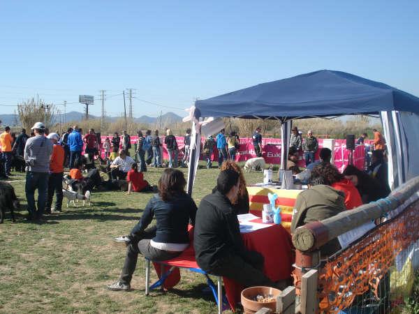 Cronica del dia 8/02/09 en el C.A Baix Llobregat en las pruebas de UCECA Ca210