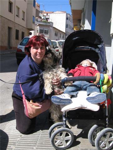 Peluda 2-3 años cruce de Schnauzer mediano, pelo semilargo Peluda10