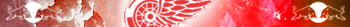 Detroit Wings