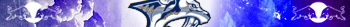 Nashville Predateurs
