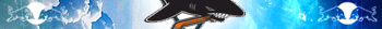 San José  Sharks