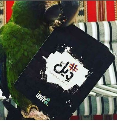 حراج لبيع الطيور ببغاء ماكاو هدد للبيع 141