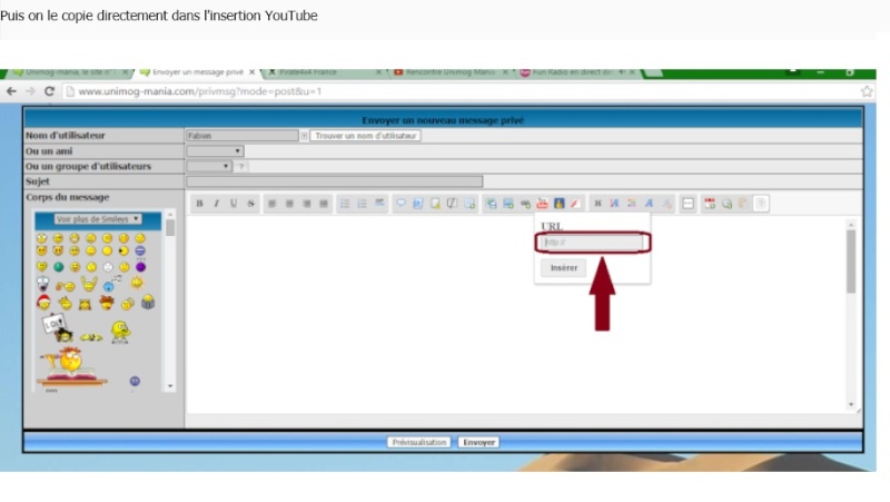 mettre une vidéo YouTube dans votre message Ariege11