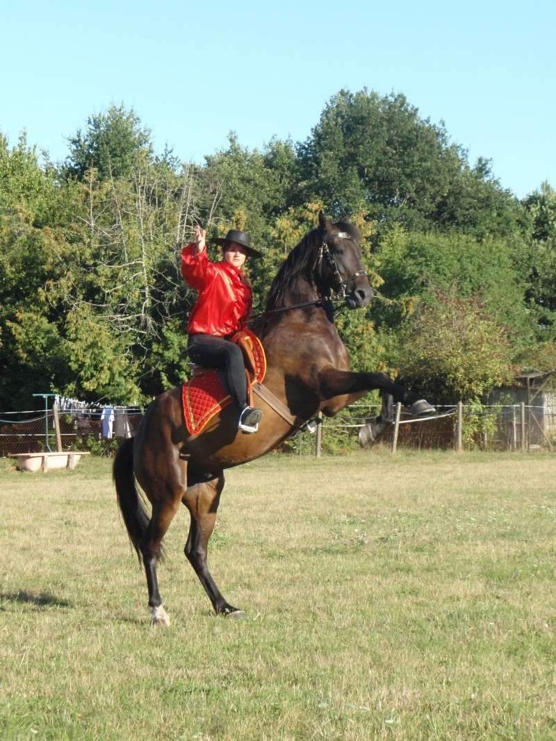 Mon loulou de spectacle P8230016