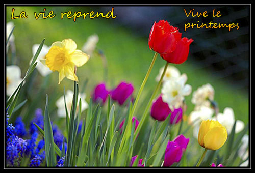 c'est le printemps - Page 2 Printe12