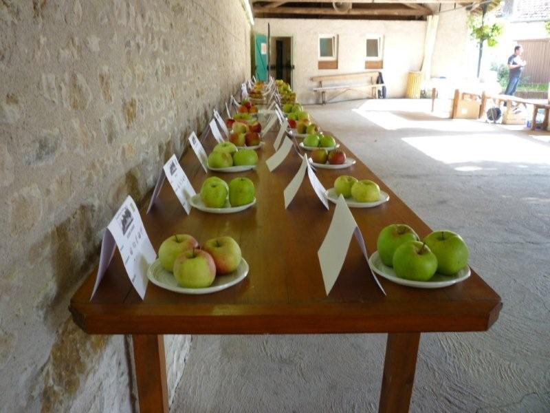 Fête de la pomme à Sion Lorraine Par Mehdi B. Dimanc16