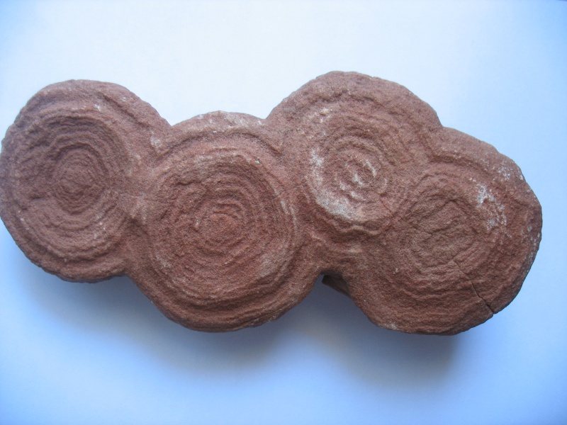 stromatolithes?? Stroma11