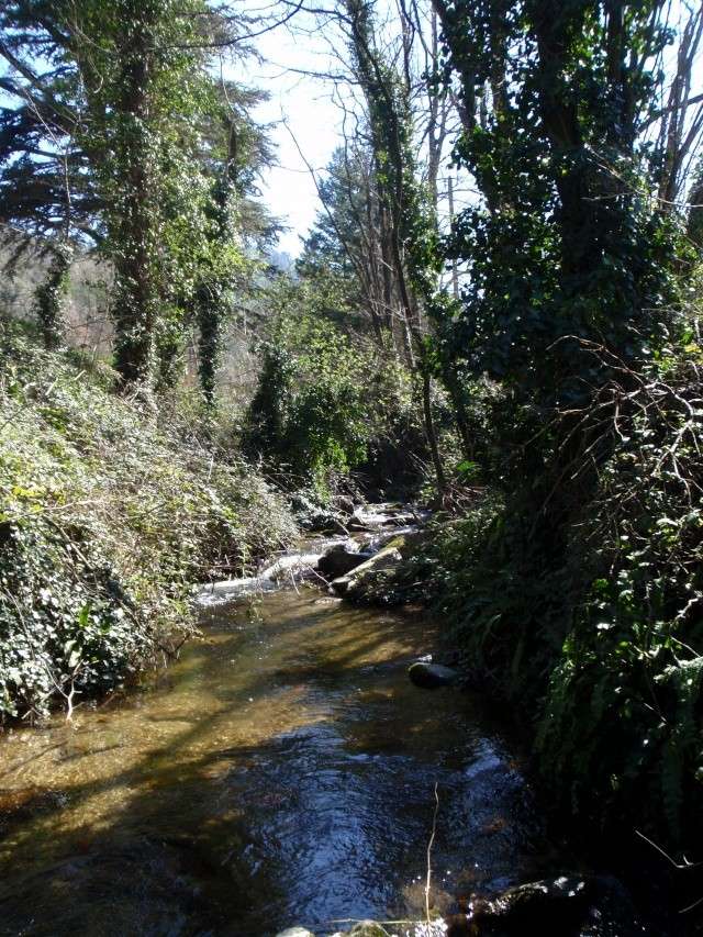 retrouvaille d'un sympathique ruisseau Aygueb16