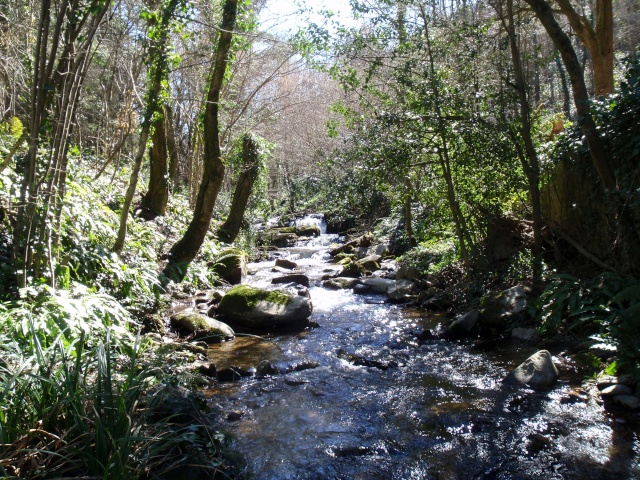 retrouvaille d'un sympathique ruisseau Aygueb18