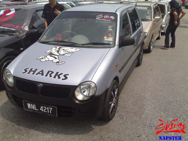 Kancil Shark From Putrajaya - Page 2 300110