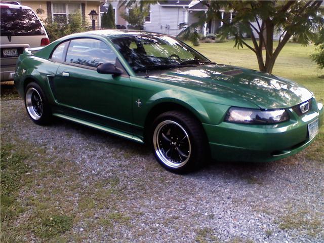My Real Life Mustang Outsid10