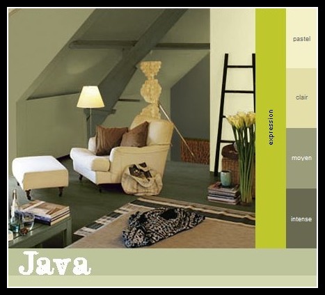 Conseils concernant la peinture d'une chambre Java210