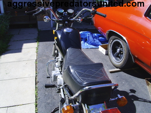 My Vintage 1982 Honda 250 LTD Edition Metal_23