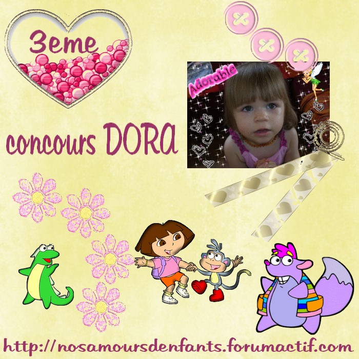 concours DORA 2 Diplom12