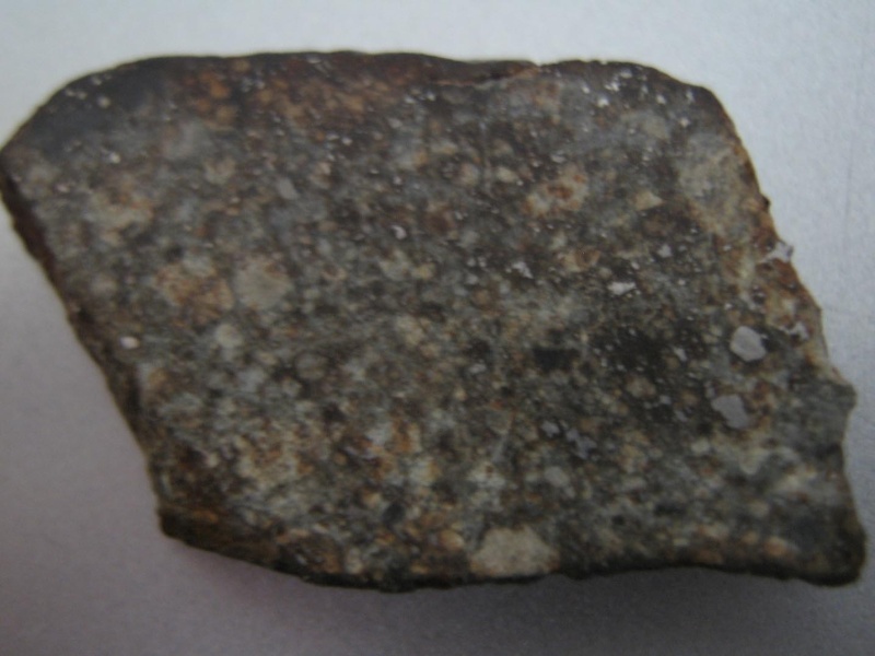 Quelques météorites Nwagq810