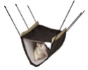 Boutique en ligne partenaire de Forum Rats - www.nacstore.fr - Page 3 62696_10