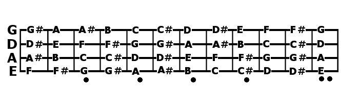 The Major scale explained (video) Bass-g10