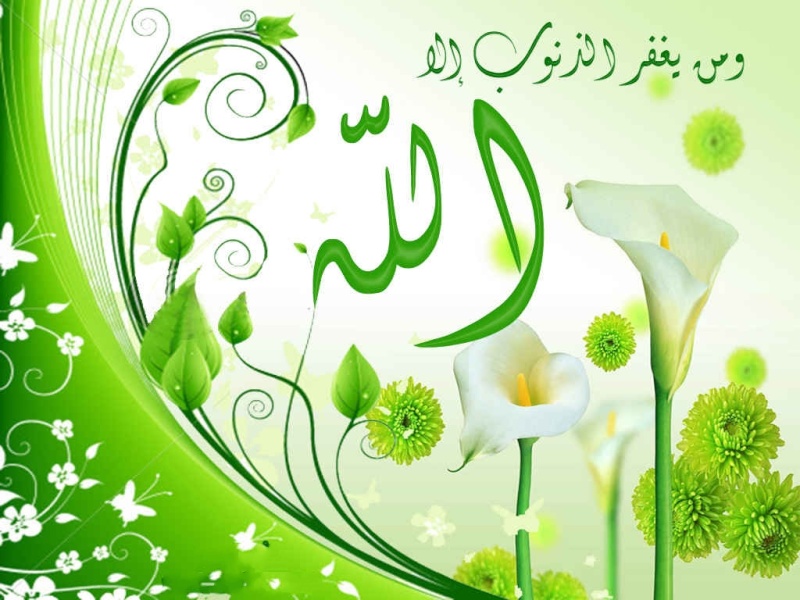 ألبس جهازك حلة رمضان Bg-4_210