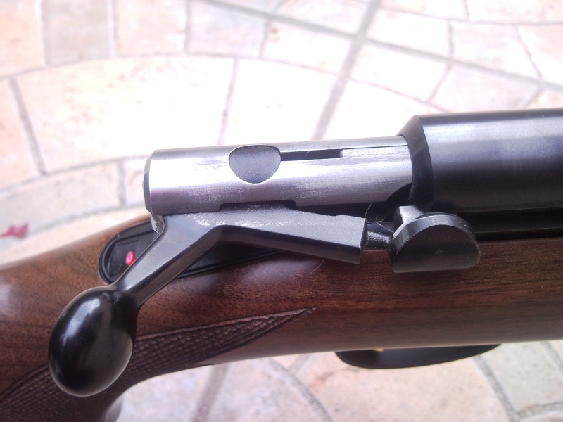 Browning TBolt 22 lr Tbolt210