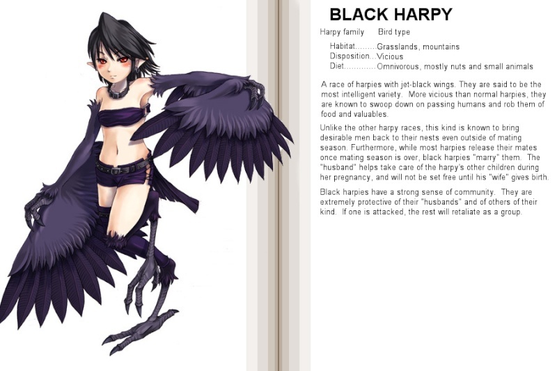 Magoo\'s Fantasy Monster Manual. Black_10