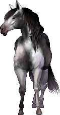cheval11.png