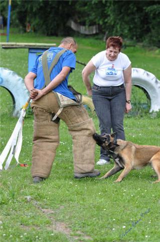 mon club d'éducation canine:Cheyenne Cheyen15