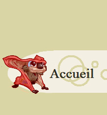 Accueil