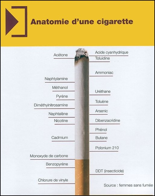 Le tabac et la disparition du got Cigare10