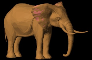 African Elephant Africa11